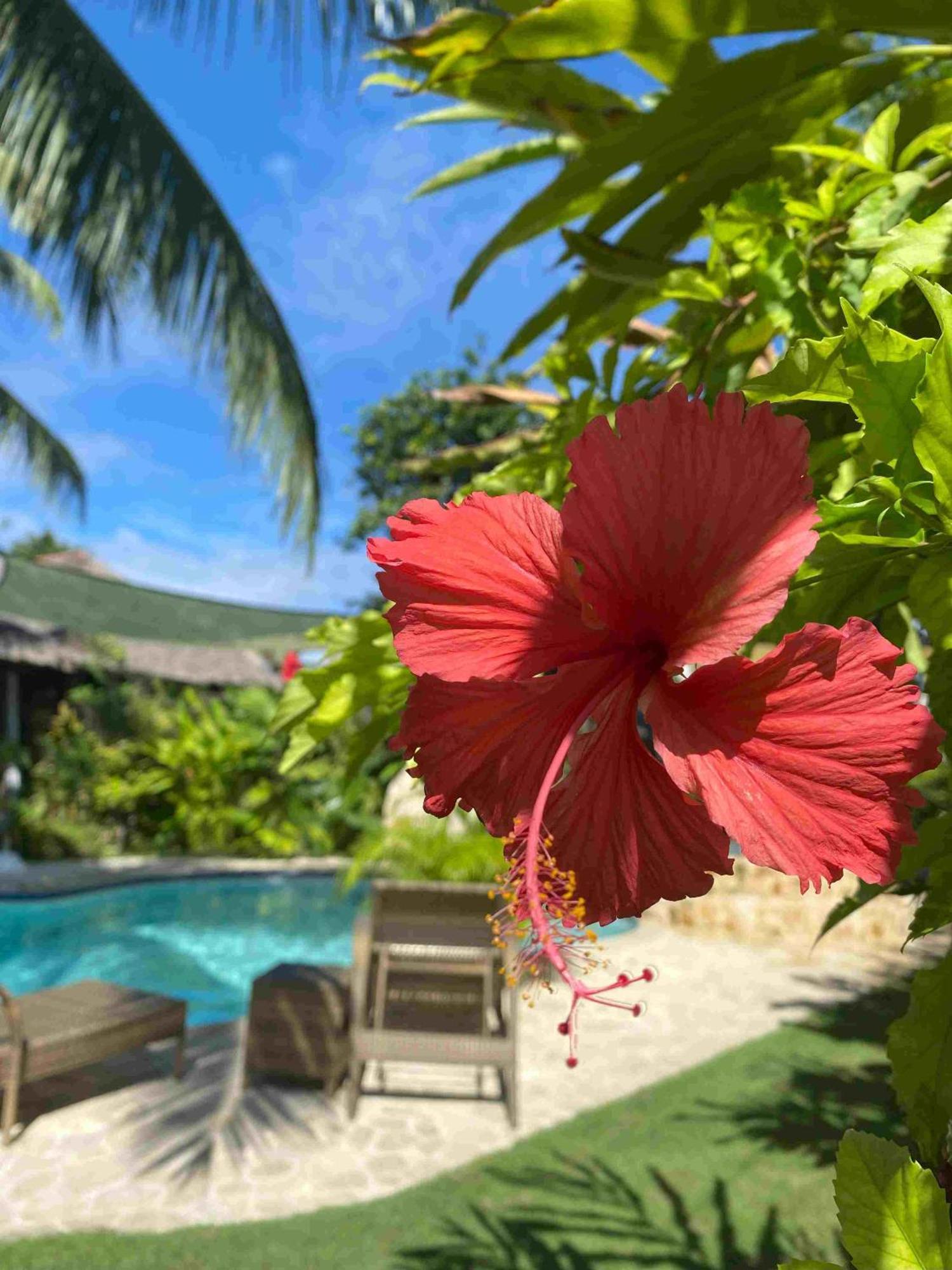 Romantic Beach Villas เจเนอรัลลูนา ภายนอก รูปภาพ